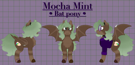 Ref sheet for my ponysona, Mocha Mint