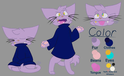 Unnamed cat, College project I kept